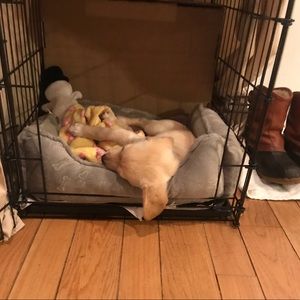 Meet your Posher, Scott